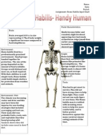 Homo Habilis