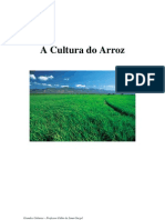 A Cultura Do Arroz