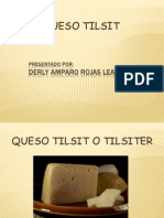 EXPOSICION Queso Tilsit