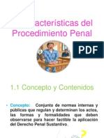 Características Del Procedimiento Penal