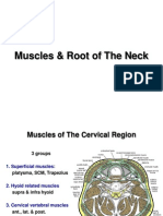 Muscles Root of The Neck E-Learning