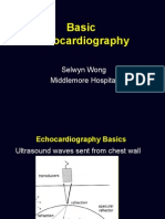 Basic Echocardiography