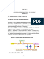 CAPITULO #03 Fermentacion Lactica