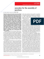 Self-Orienting Nanocubes For The Assembly of Plasmonic Nanojunctions