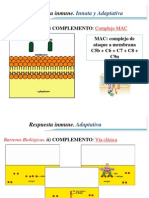 Animaciones Inmunologia