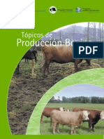 Produccion Bovina