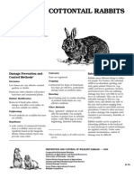 Cottontail Rabbits: Damage Prevention and Control Methods