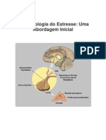 Neurobiologia Do Estresse