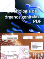 Embriologia de Aparato Reproductor Femenino