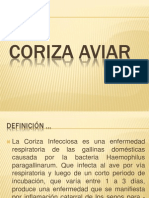 Coriza Aviar