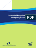 DSS-dialogo Semanal de Segurança.