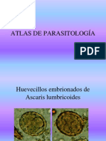 Atlas de Parasitologia