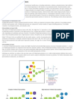 Post Translational Modifications