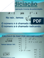 Radiciao 120218124120 Phpapp01