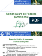 Nomenclatura Poaceas