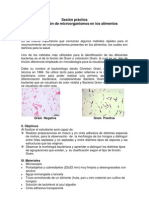 Practica de Laboratorio 1 Microbiologia