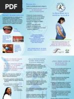 Triptico Salud Bucal Embarazada