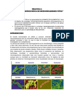 PRACTICA 2 Microbiologia