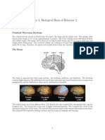 Lecture 4: Biological Basis of Behavior 2: Central Nervous System