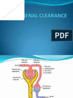 Renal Clearance