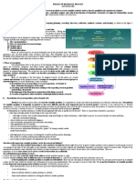 4phases of Research Process - Hanacek