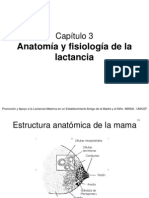 3 Anatomía y Fisiología de La Lactancia Final