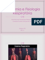 Anatomia e Fisiologia Respiratória