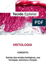 Aula 03 e 04 Histologia Tecido Epitelial