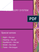 Lab 7 - Sensory System