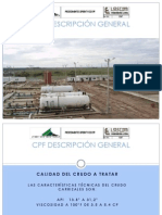 Proceso Producción CPF