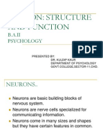 Neuron: Structure and Function: B.A.II Psychology