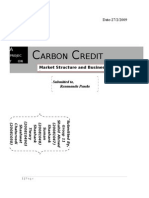 Carbon Credit Market Structure