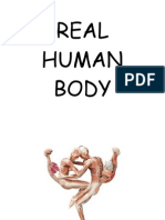 Human Body