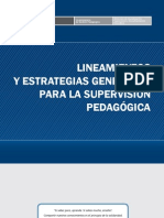 Supervision Pedagogica PDF