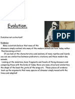 Natural Selection Powerpoint