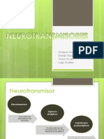 Neurotransmisores y Neuropeptidos