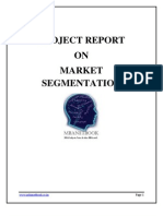 Market Segment at I On Project Report