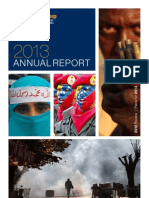 2013 Annual Report