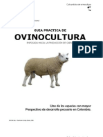 Manual Cria Ovinos Produccion Carne