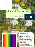 The Flow of Energy Part 3c