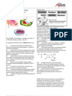 Biologia Reino Monera Exercicios