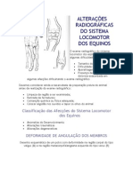 Altera - Es Radiogr-Ficas Do Sistema Locomotor Dos Equinos