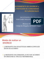 Presentacion de Procedimiento de Divorcio Definitiva