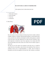 Carbon Dioxide and Water As A Result of Respiratory