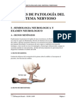 Apuntes de Patologia Del Sistema Nervioso