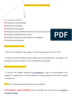 Princípios Do Direito Processual Do Trabalho