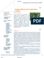 Generalidades PDF