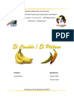 Trabajo Cambur y Platano