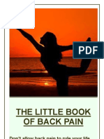 The Little Book of Back Pain: Don't Allow Back Pain To Rule Your Life