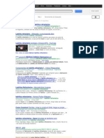 Como Fabricar Ladrillos Refractarios - Buscar Con Google PDF